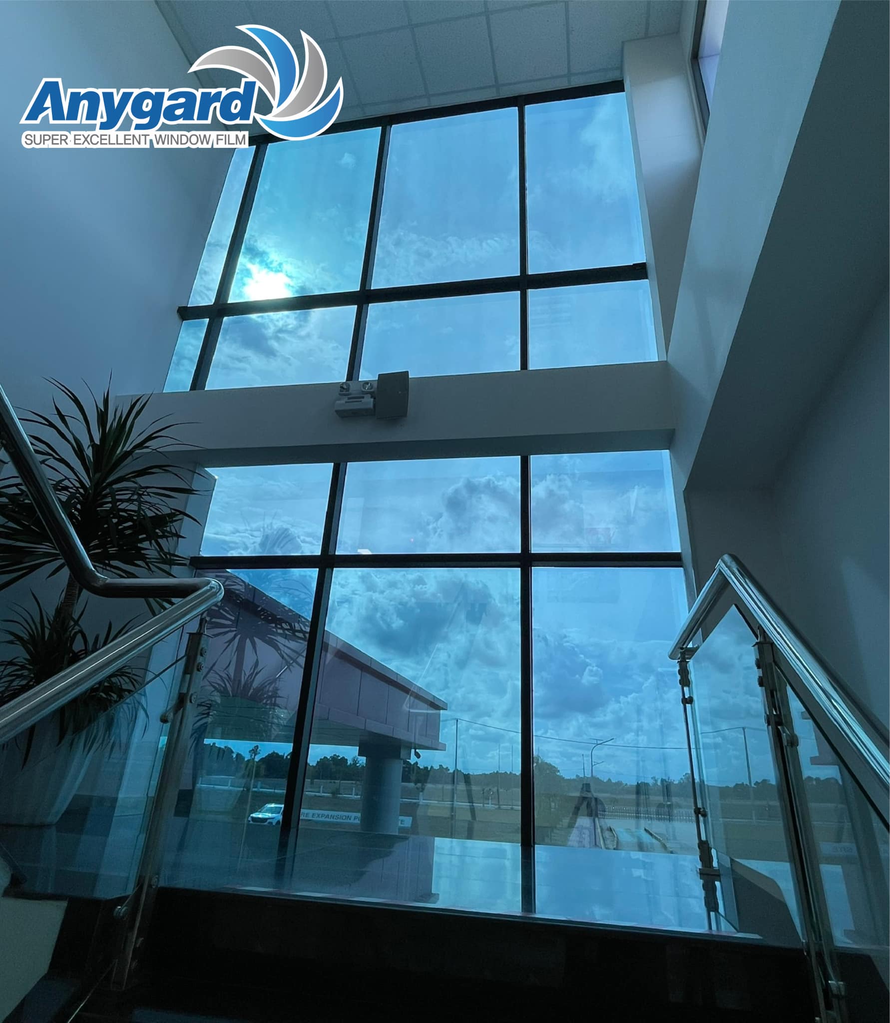 Anygard-CRT Vina (2)